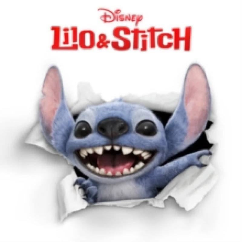 Image of Lilo & Stitch Vinyl