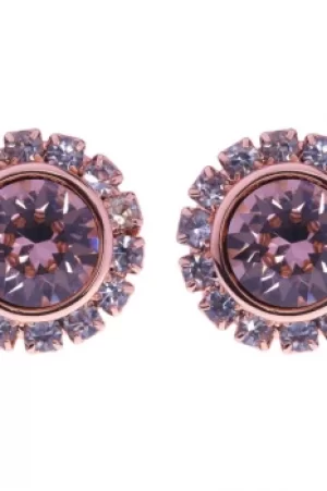 Image of Ted Baker Ladies PVD rose plating Sully Crystal Chain Stud Earring TBJ854-24-16