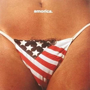 Image of Black Crowes - Amorica Vinyl