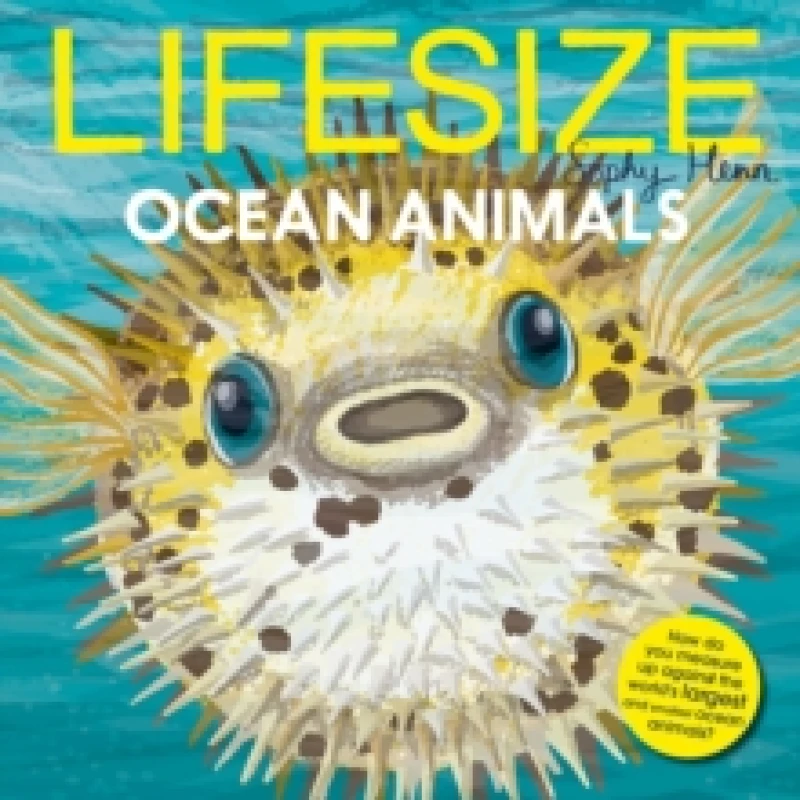 Image of Lifesize Ocean Animals Paperback / softback