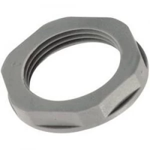 Image of Locknut PG16 Polyamide Light grey RAL 7035 LappKabel SKINTOP GMP GL PG16
