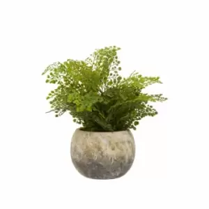 Image of Interiors By Ph Faux Fern In Cement Pot