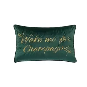 Image of Ted Baker Wake Me For Champagne Cushion 60cm x 40cm, Forest Green