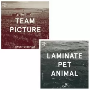 Image of Back to Bay Six/Eve by Team Picture/Laminate Pet Animal Vinyl Album