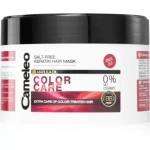 Image of Delia Cosmetics Cameleo BB Keratin Mask For Coloured Or Streaked Hair 200ml