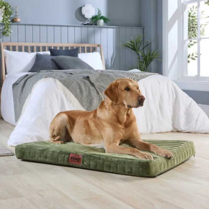 Image of Slumberdown Paws for Slumber Large Orthopedic Pet Bed Green
