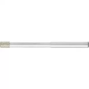 Image of PFERD 36003010 Diameter 3mm 5 pc(s)