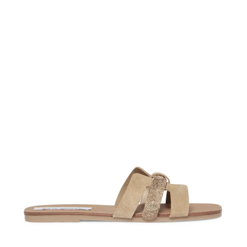 Image of Steve Madden Womens mules Steve Madden Edriah Beige Female 36