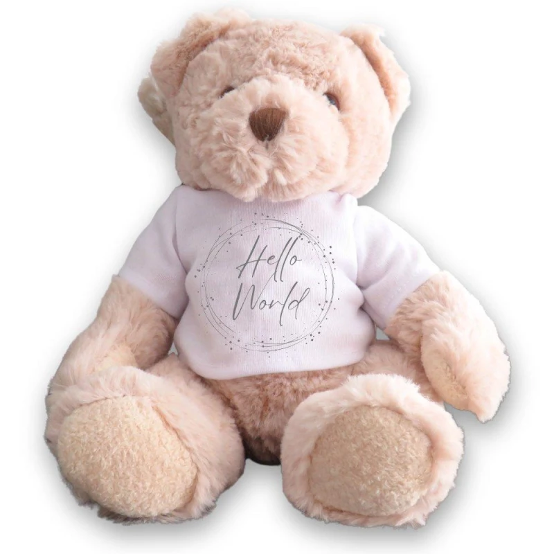 Image of Aye Do Gifts Teddy Bear with Hello World Silver Circle T-Shirt Cream unisex Teddy Bear