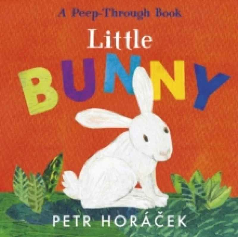Image of Little Bunny Board book