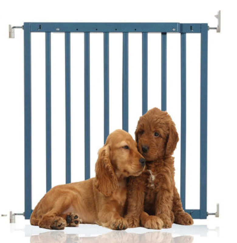 Image of Bettacare Chunky Wooden Screw Fit Dog Gate, 63.5Cm - 105.5Cm, Azure Blue, Wooden Dog Gate Gate, Screw Fit Pet Stair Gate