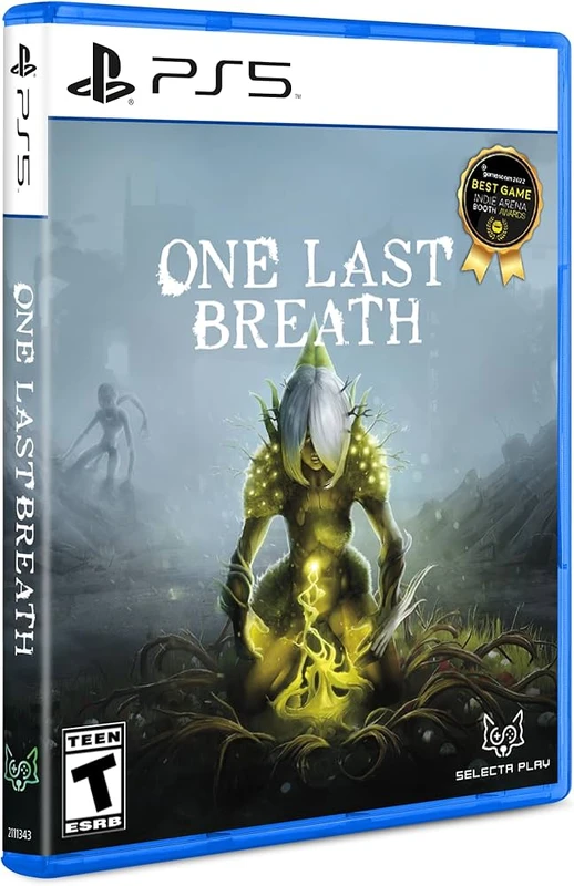 Image of One Last Breath PS5 Game