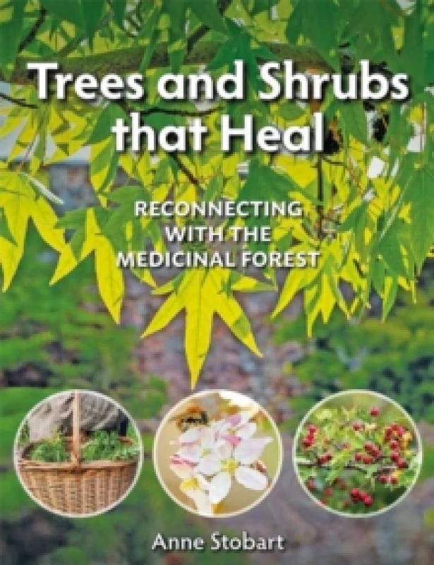 Image of Trees and Shrubs that Heal : Reconnecting With The Medicinal Forest Paperback / softback