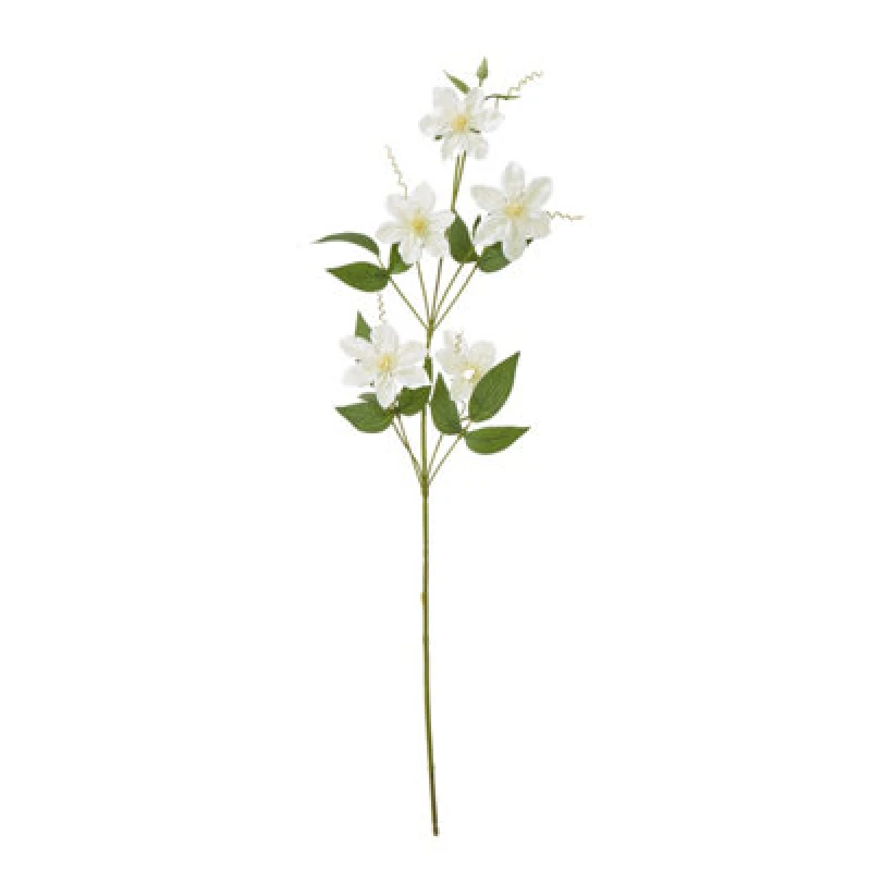 Image of Cream Pearl Clematis Spray