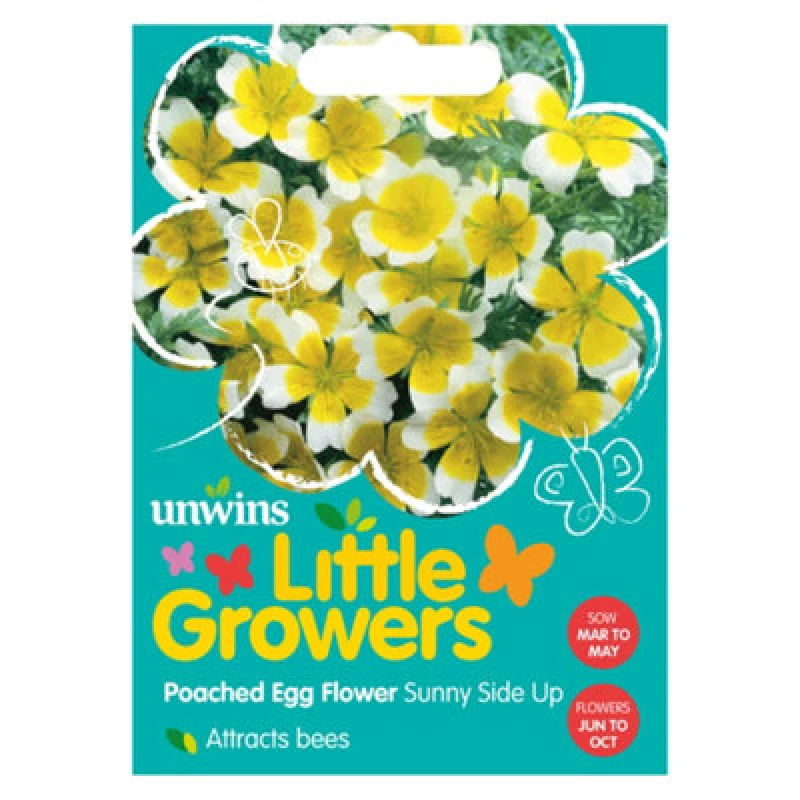 Image of Unwins Little Growers Poached Egg Flower Sunnyside