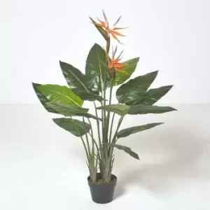 Image of Bird of Paradise Plant in Pot, 120cm Tall - Green & Orange - Homescapes