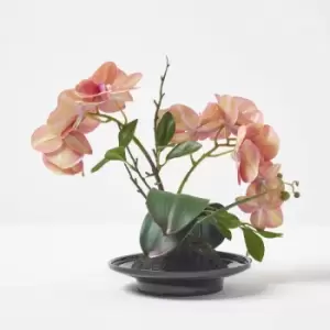 Image of HOMESCAPES Coral Orchid 32cm Phalaenopsis in Ceramic Pot - Coral