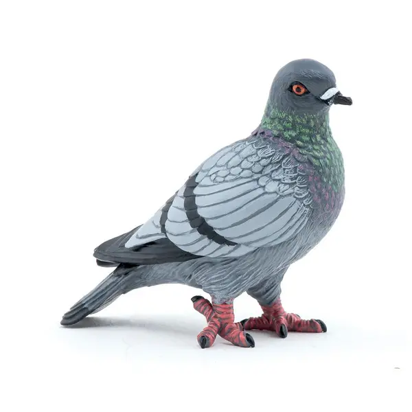Image of PAPO Piegon