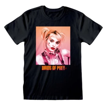 Image of Birds Of Prey - Gradient Unisex X-Large T-Shirt (Black)