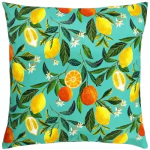 Image of Orange Blossom Outdoor Cushion Multi