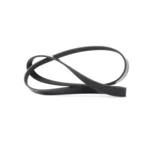 Image of DAYCO V-ribbed belt VW,MERCEDES-BENZ,BMW 6PK1152 036145933AC,11288650740,5750E9 5750FP,5750J6,5750L4,5750VC,5750VZ,5750WJ,1082038,95VW6C301BA,MB813600