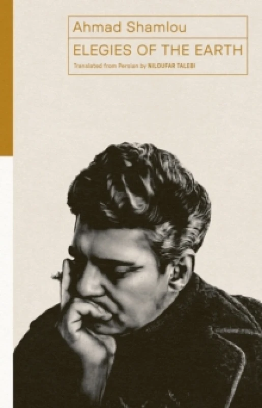Image of Elegies of the Earth : Selected Poems Paperback / softback