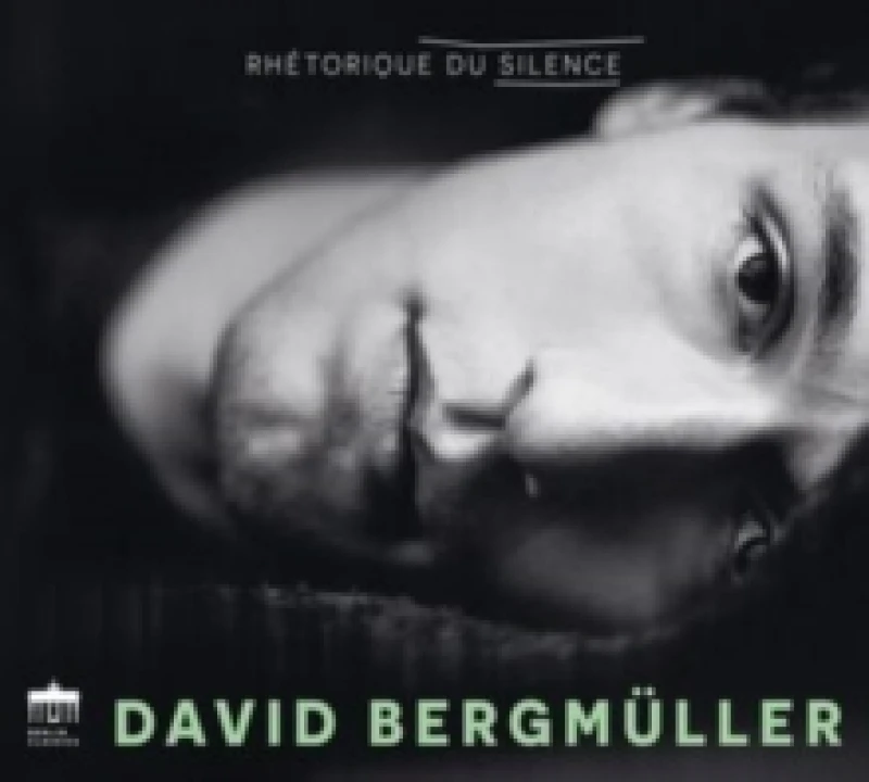 Image of David Bergmller: Rhtorique Du Silence CD / Album