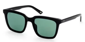 Image of Web Sunglasses WE 0309 01P