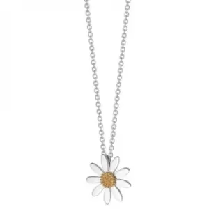 Image of Marguerite Daisy Necklace N4003