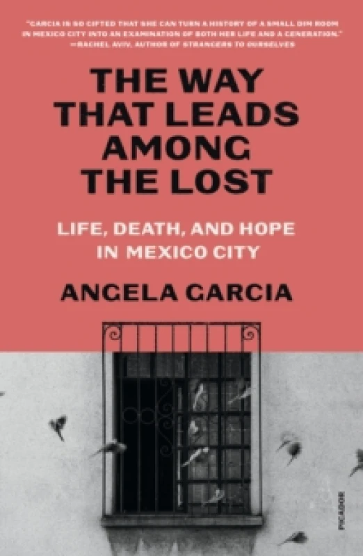 Image of The Way That Leads Among the Lost. Paperback. By Angela Garcia Books