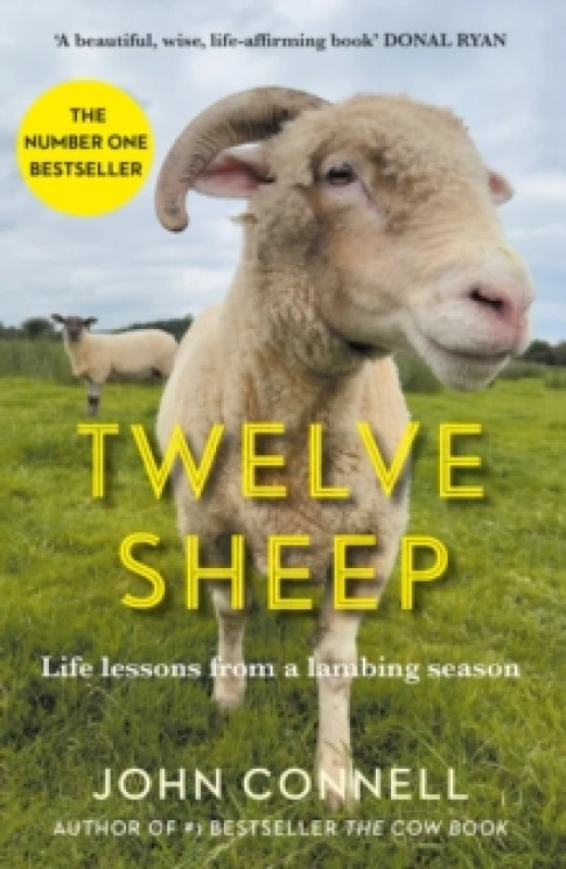 Image of Twelve Sheep : Life lessons from a lambing season Hardback