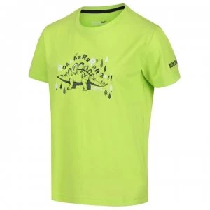 Image of Regatta Bosley III Cotton T-Shirt - ElectricLime