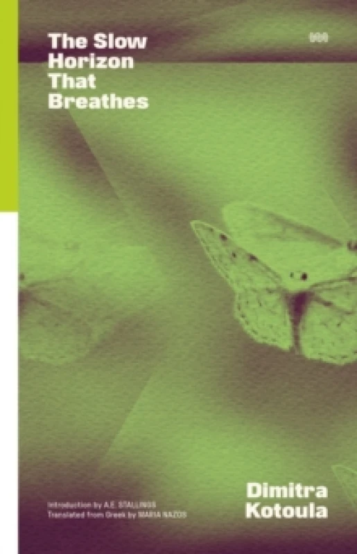 Image of The Slow Horizon That Breathes Paperback / softback