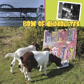 Image of Box Of Chocolates - Fearful Symmetry Vinyl