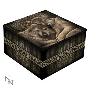 Image of Mirror Box Loyal Companion