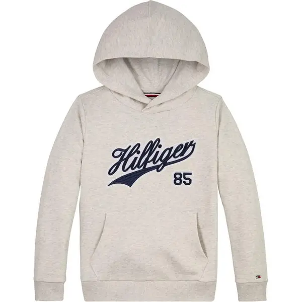 Image of Tommy Hilfiger HILFIGER SCRIPT HOODIE OTH Hoodies 4Y Red 53946608135