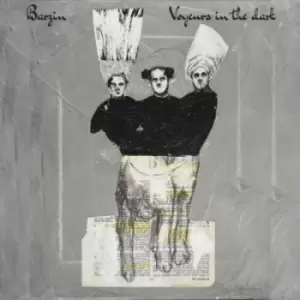Image of Barzin - Voyeurs in the Dark CD Album - Used