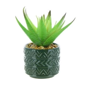 Image of Spikey Succulent in Ceramic Pot with Aztec Design Green 14cm