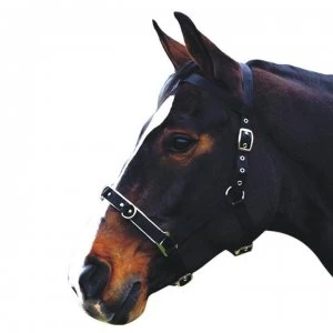 Image of Kincade Nylon Padded Lunge Cavesson - Black