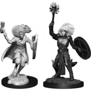Image of D&D Nolzur's Marvelous Unpainted Miniatures (W14) Changeling Cleric