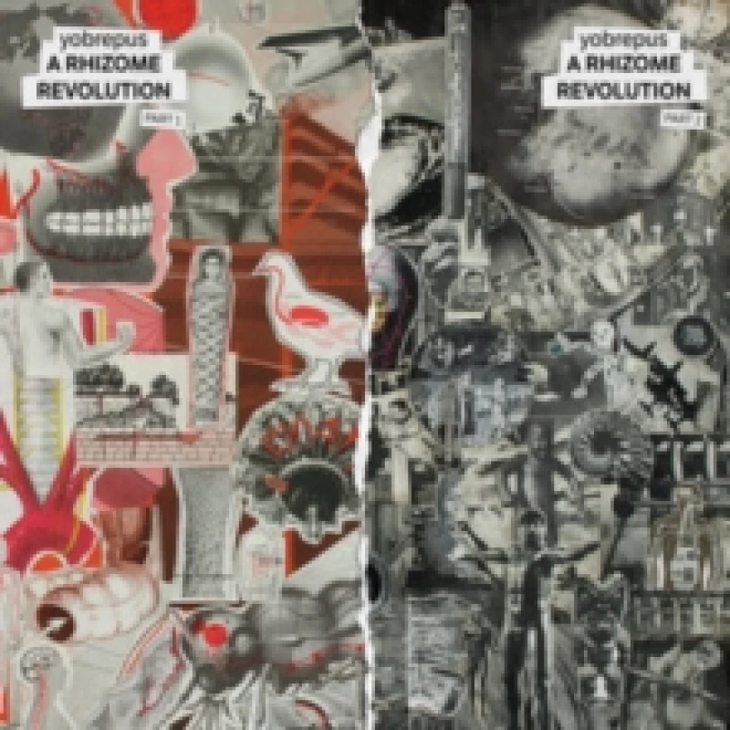 Image of A rhizome revolution part 1 CD / Album