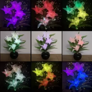 Image of 50cm High Fibre Optic White Lilies with Colour Changing Flowers