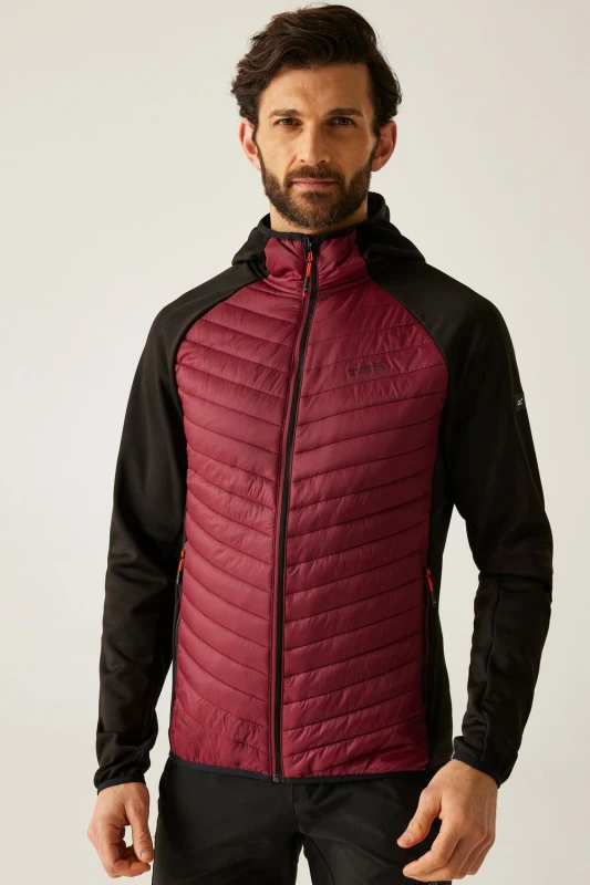Image of Regatta Regatta Men Andreson Hybrid Insulated Baffled Jacket in Maroon Size: X-Large Maroon XL Male 5063516134558